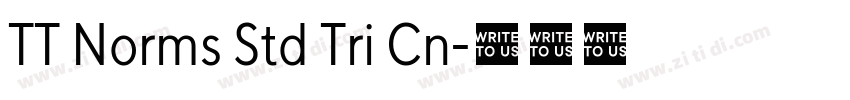 TT Norms Std Tri Cn字体转换